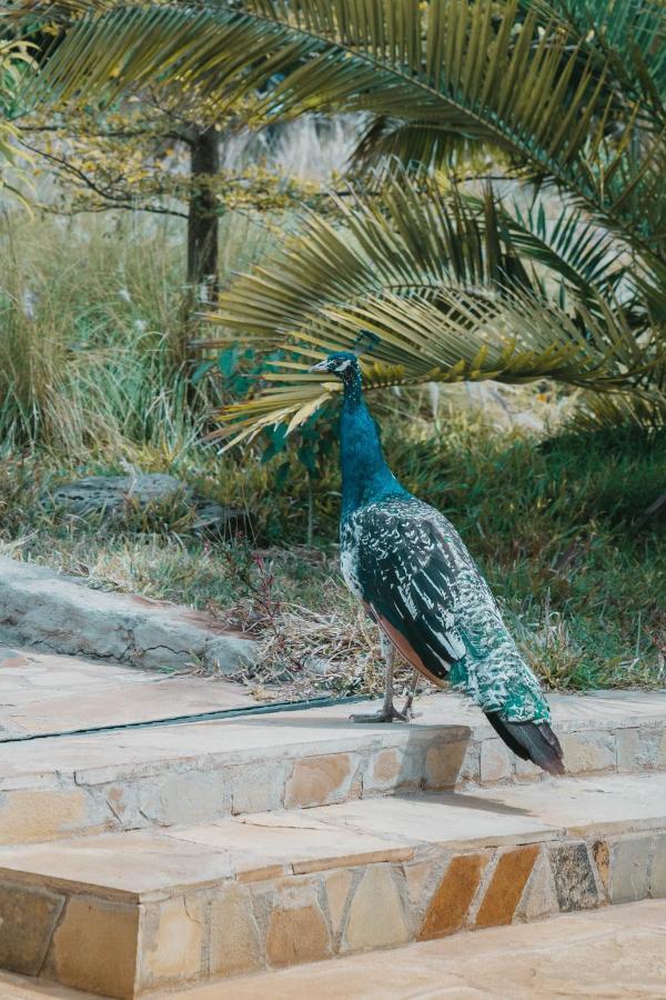 Saab Royale Resort Kajiado エクステリア 写真